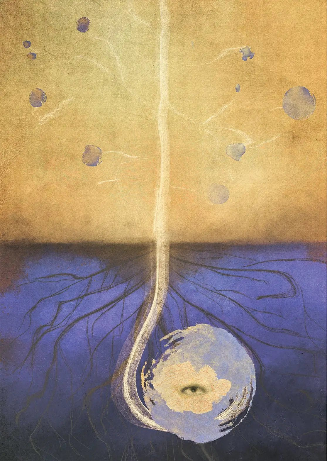 L'âme des végétaux | Une Fleur venue du Ciel Le Chemin de la Rose