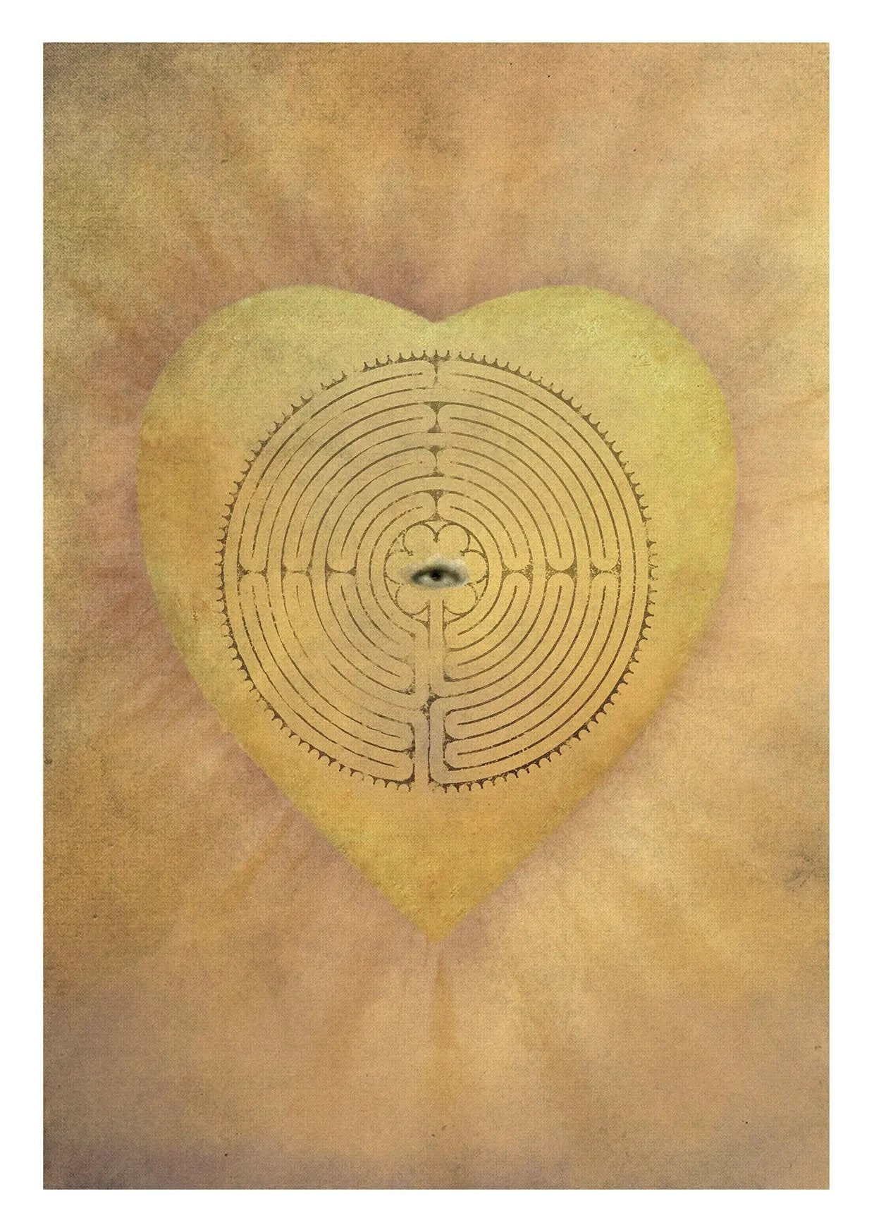 La Coeur et la Fleur | Une Fleur venue du Ciel Le Chemin de la Rose